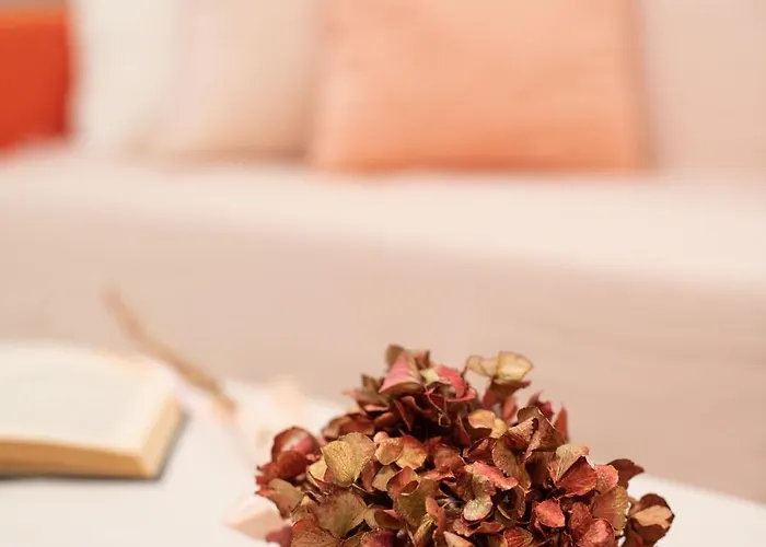 Apartment Romantica Laterano Rome